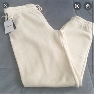 Aritzia tna joggers